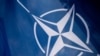 Парламентская ассамблея НАТО призвала создать трибунал по агрессии России – глава украинской делегации Чернев