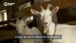 Фермер восстанавливает разрушенное хозяйство под Киевом: во время оккупации там стояли российские военные