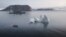 Russia - new Arctic islands revealed by melting ice - screen grab