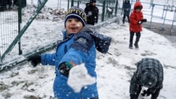 Утро: Шойгу про ядерный удар. Четыре варианта нападения на Украину. Мигранты в снегу