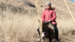 Фатима на Мерсе: дочь пастухов каждый день ездит в школу на ослике