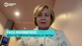 "Оружие массового поражения мозгов". Как Кремль и его спецслужбы пытаются влиять на Евросоюз изнутри, объясняет евродепутатка от Литвы
