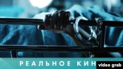Реальное кино: В логове зверя
