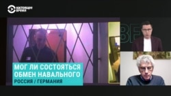 Леонид Гозман – о том, мог ли состояться обмен Алексея Навального 