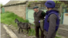"Страшно. Но козу куда дену?" Репортаж из Новомихайловки под Донецком, которую больше года обстреливают российские войска