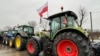 Протестующие польские фермеры высыпали зерно из украинских фур на границе. В СНБО заявили, что акцию устроил пророссийский польский политик