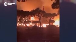 Сильнейшие лесные пожары на Гавайях: погибли уже более 50 человек 