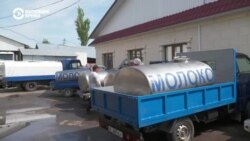 Россия запретила ввоз молочной продукции из Кыргызстана. Как реагируют в Бишкеке 