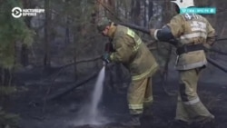В Казахстане масштабные лесные пожары в Абайской области: погибли 14 пожарных, которые их тушили