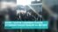 Тысячи мигрантов из Узбекистана и Таджикистана вышли на митинг в Москве: охрана компании, где они работают, стреляла в воздух