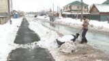 Жители Астаны сами чистят улицы и дворы после снегопадов: коммунальные службы с уборкой снега не справляются