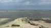 В Каспийском море массово гибнет рыба: что происходит? 