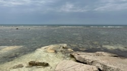 В Каспийском море массово гибнет рыба: что происходит? 