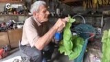 Владимир из села под Купянском выращивает табак и не уезжает, несмотря на близкие бои