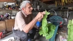 Владимир из села под Купянском выращивает табак и не уезжает, несмотря на близкие бои