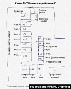 Схема спецотделения (ШИЗО и ПКТ) в Новополоцкой колонии, где держат Игоря Лосика и Виктора Бабарико