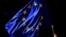 FRANCE-EU-POLITICS-ELECTION-PS