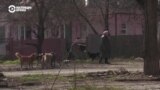 "Раньше было страшновато, теперь привыкли". Как живет прифронтовой Часов Яр 