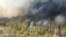 Forest fire in the east of Kazakhstan. Photo from the website of the akimat of the Abay region