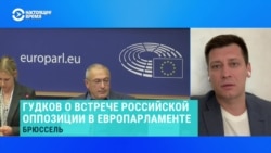 Дмитрий Гудков – о том, как уехавшие из России оппозиционеры выстраивают отношения с Европой