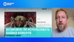 Ученый развенчивает мифы пропаганды в росСМИ об использовании Украиной боевых комаров и саранчи