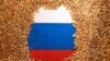 UKRAINE-CRISIS/AGRICULTURE