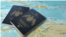 Passport of Dominica