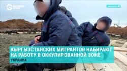 Россия нанимает мигрантов из Кыргызстана рыть окопы на оккупированных территориях Украины: появилось видео рабочих