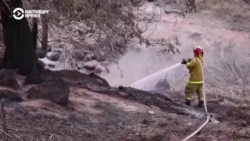 Лесные пожары на Гавайях: власти подтвердили гибель более 90 человек