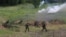 Америка: внезапные военные учения в Беларуси
