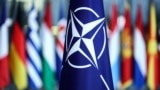 Америка: открытие юбилейного саммита НАТО