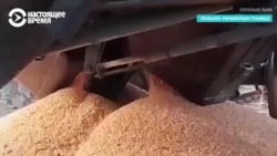 Фермеры в Польше перекрыли железную дорогу и рассыпали украинское зерно из вагонов