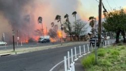 Америка: катастрофические пожары на Гавайях. 36 погибших