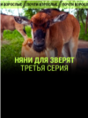 "Няни для зверят. Третья серия