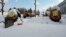Wagner cemetery in Fryazino, Moscow region. Uzbek migrants who died in Ukraine