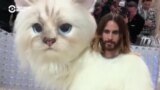 Джаред Лето в костюме кошки Шупетт и другие отсылки к Лагерфельду: в Нью-Йорке прошел модный бал Met Gala