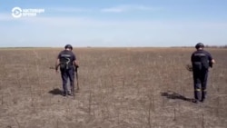 Саперы из Дании помогают украинским фермерам разминировать поля: репортаж из Николаевской области
