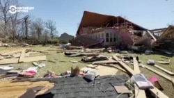 "Здесь был лес, а сейчас его нет! А это наша крыша!": жители США показывают последствия сильнейшего торнадо