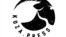 Logo of Koza.Press
