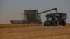 Сбор урожая зерна в Одесской области Украины в июне 2023 года. Фото: Reuters
