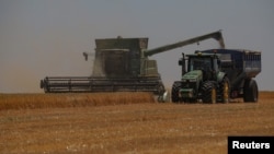 Сбор урожая зерна в Одесской области Украины в июне 2023 года. Фото: Reuters