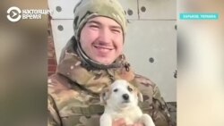 "Мама, я в каске, все хорошо!" История погибшего на фронте Кирилла и его собаки Фугаски