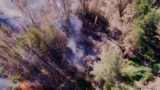 Kazakhstan. New fires on the territory of Semey Ormany. July 1, 2023