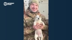 История фронтовой собаки Фугаски: ее хозяин погиб под Бахмутом, но ее забрали домой родители военного
