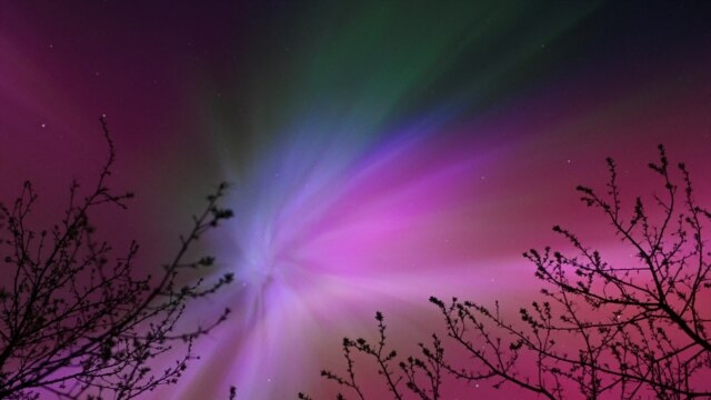 Programme: Настоящий сериал: Чудеса Северной Европы