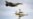 Авиаэксперт – об эффективности F-16 для Украины: "Неподготовленные, невооруженные самолеты мы будем терять"