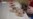 16x9 Image