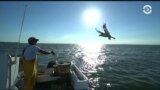 Настоящее Время. Америка – 11 июля