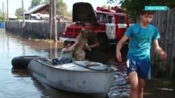 Новости. Коротко