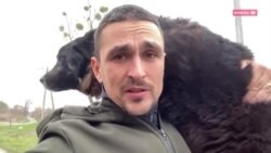 "Он вообще не умеет ходить на поводке": дрессировщик Андрея Долженко спасает брошенных из-за войны животных